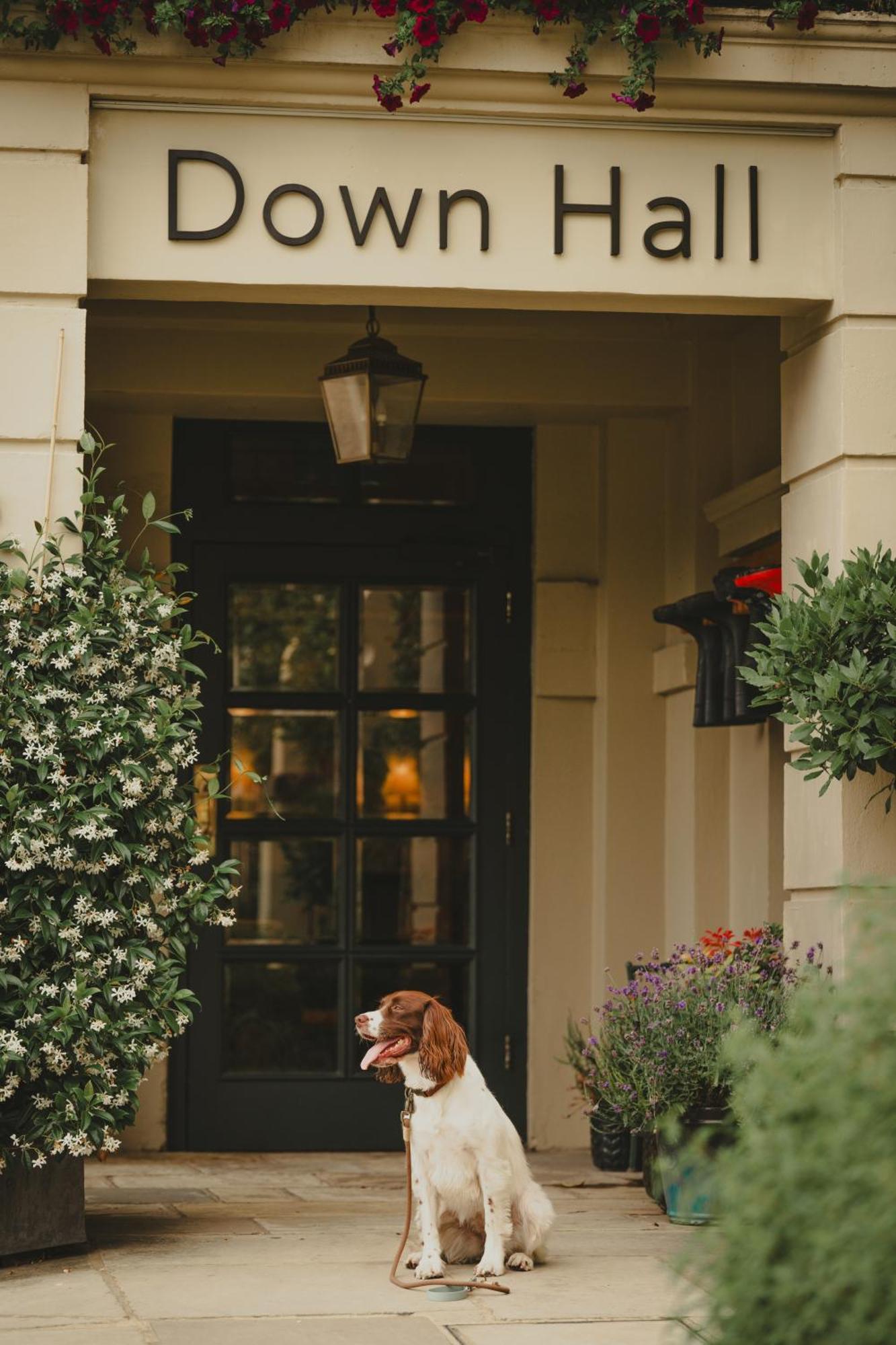 Down Hall Hotel Hatfield Heath Екстер'єр фото